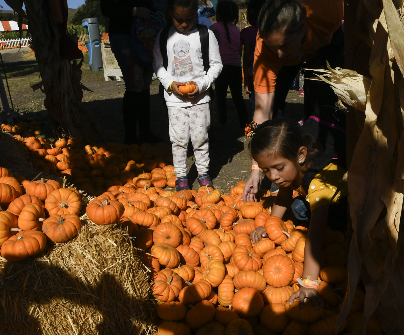 101119 The Patch 13.jpg